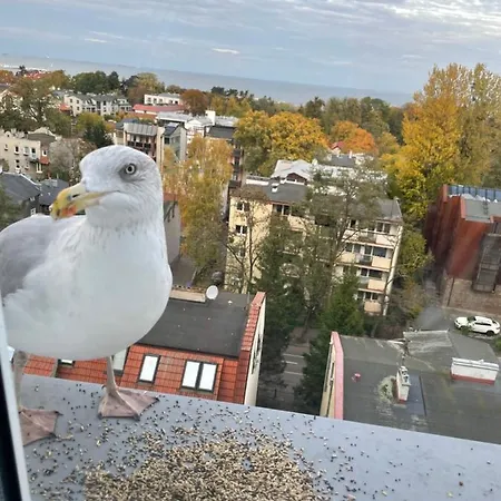 Karlikowska Z Widokiem Na Morze * ソポト