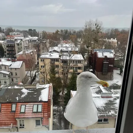 Karlikowska Z Widokiem Na Morze アパート