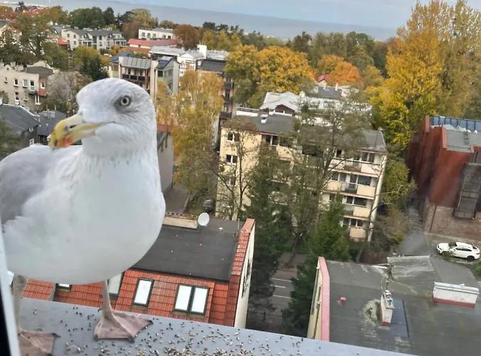 Karlikowska Z Widokiem Na Morze * Sopot