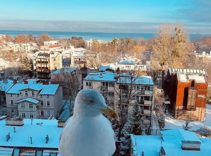 شقة Karlikowska Z Widokiem Na Morze